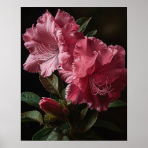 Pink Azalea Flowers Art Print Poster