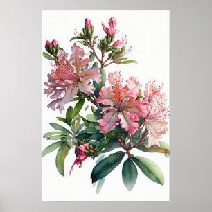 Pink Azalea Flowers Art Print Poster