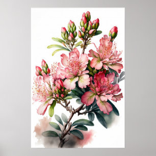 Pink Azalea Flowers Art Print Poster