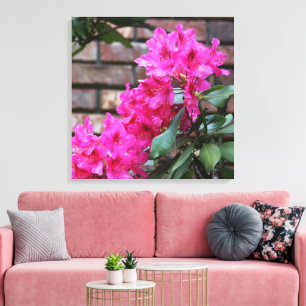Pink Azalea Flowers Canvas