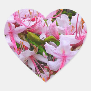 Pink Azalea Flowers Heart Sticker