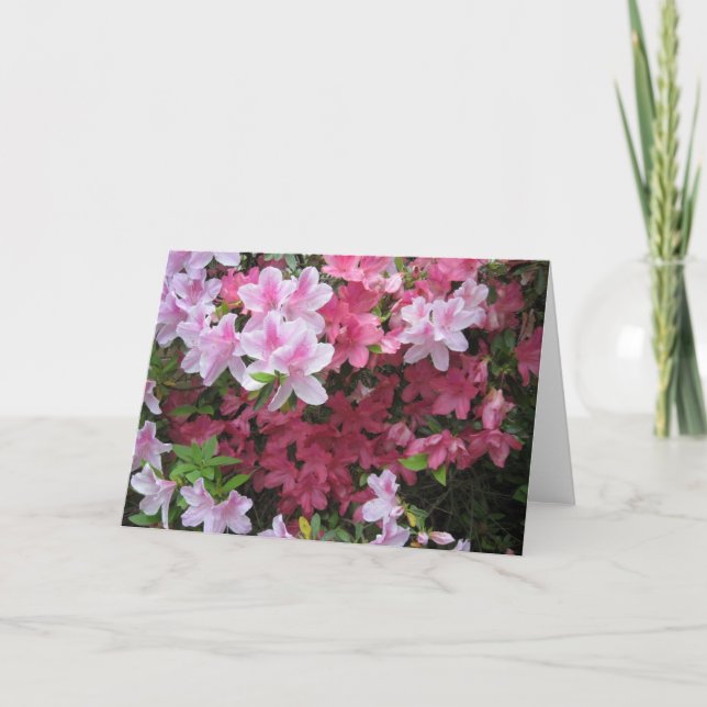 Pink Azalea NoteCard (Front)