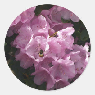 Pink Azaleas & Bee, Rhododendron Garden Flowers Classic Round Sticker