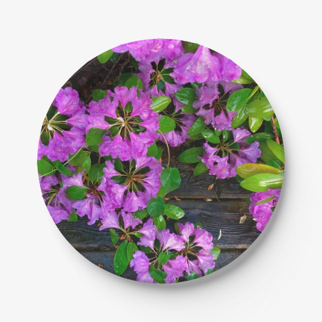 Pink Azaleas flowers, rustic backyard woodgrain  Paper Plate (Front)