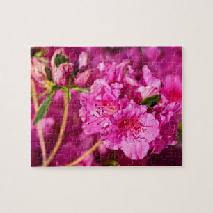 Pink Azaleas Jigsaw Puzzle
