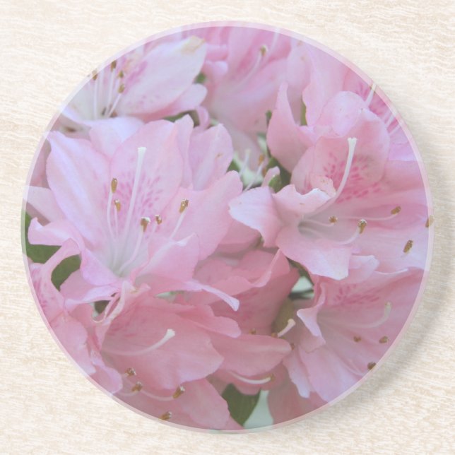 Pink Azaleas Sandstone Coasters (Front)