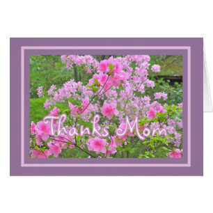 "PINK AZALEAS" THANKS MOM/HAPPY MOTHER'S DAY