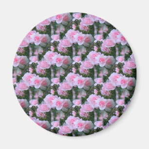 Pink Babies..... Magnet