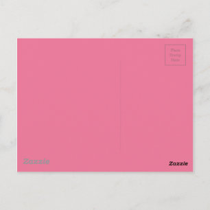 Pink Background Colour Postcard