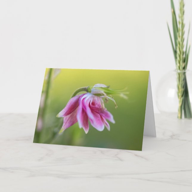 Pink Ballerina - Columbine in Motion Card (Front)