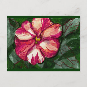 Pink Balsam Flower Postcard