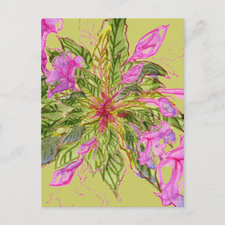 Pink Balsam Flowers Bouquet on Green Postcard