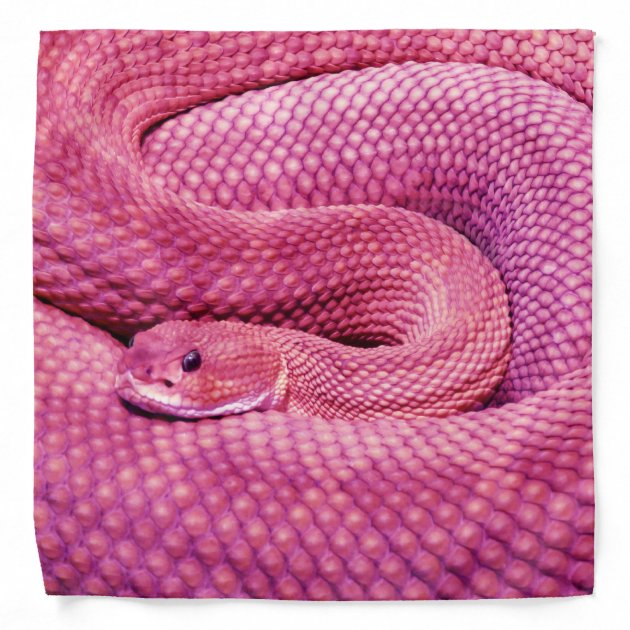 pink basilisk