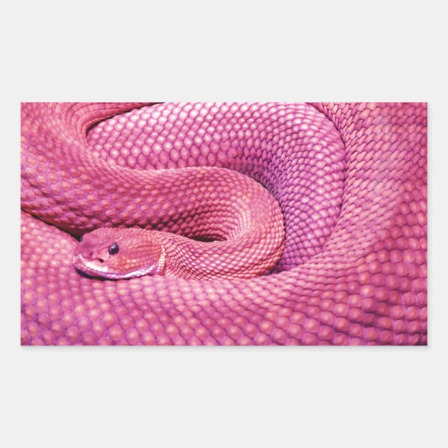 Pink Basilisk Rattlesnake Rectangular Sticker (Front)