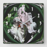 Pink Bearded Iris Abstract Flower Art
