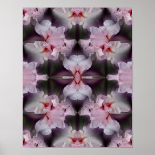 Pink Bearded Iris Flower Abstract    Poster