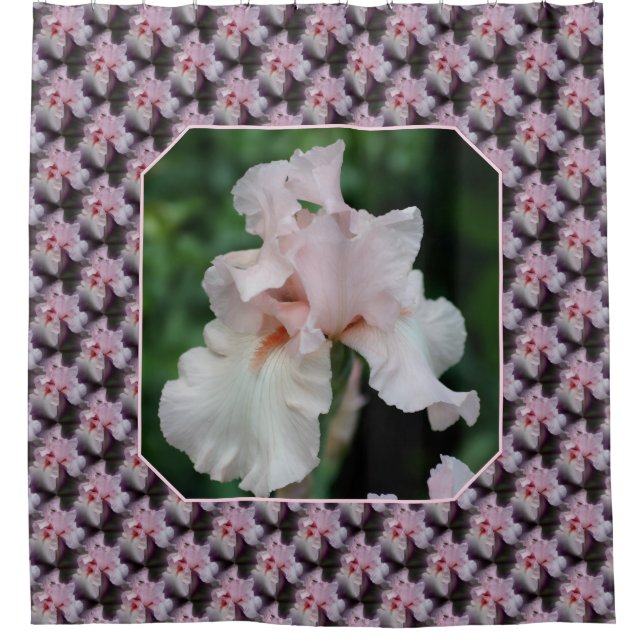 Pink Bearded Iris Flower Pattern Shower Curtain (Front)