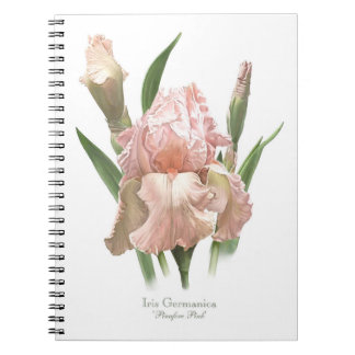 Pink Bearded Iris Notebook
