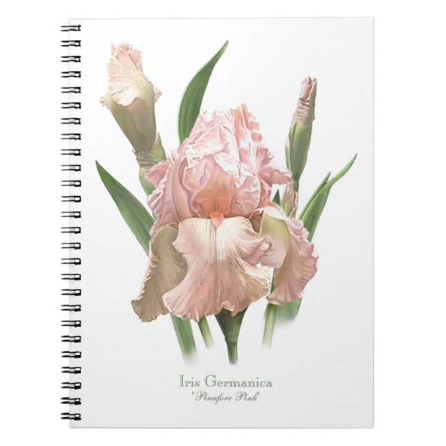 Pink Bearded Iris Notebook (Front)
