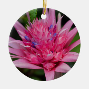 Pink Beauty Ceramic Tree Decoration