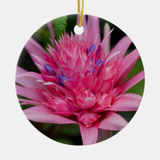Pink Beauty Ceramic Tree Decoration (Front)