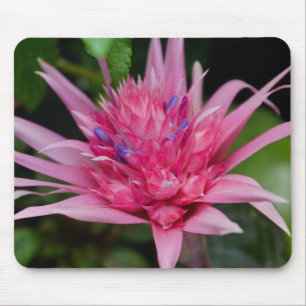 Pink Beauty Mouse Mat