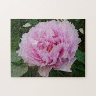 Pink Beauty Photo Puzzle with Gift Box