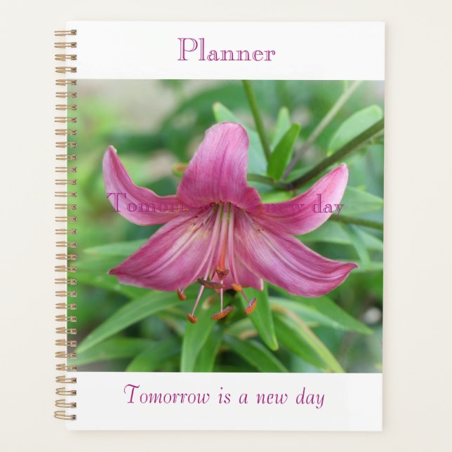 Pink Beauty Planner (Front)
