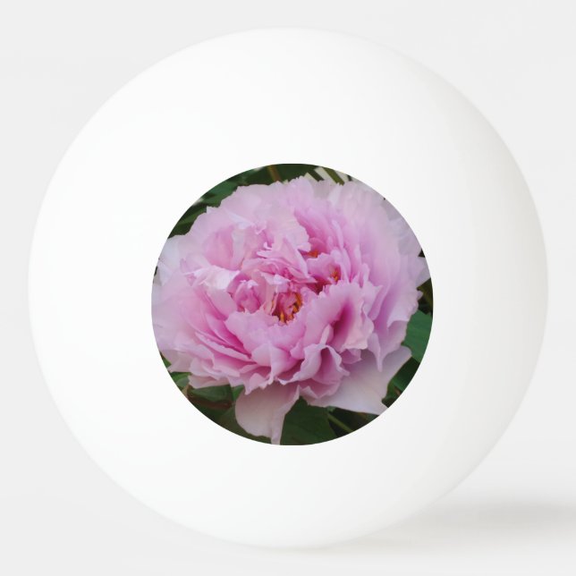 Pink Beauty Three Star Ping Pong Ball (Front)