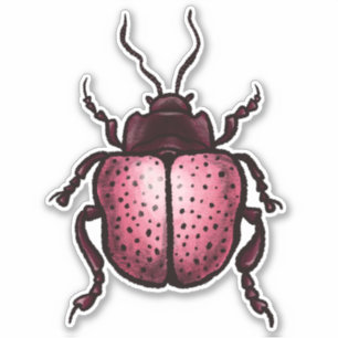 Pink Beetle Cute Bug Art - Insect Lover