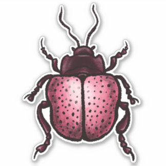 Pink Beetle Cute Bug Art - Insect Lover
