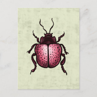 Pink Beetle Cute Bug Art - Insect Lover Postcard