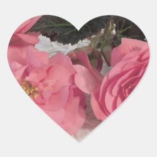 Pink Begonia Flower Stickers