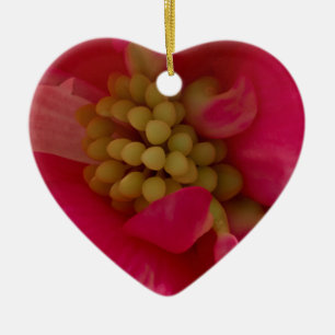 Pink Begonia Stamen Macro Ornament