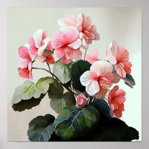 Pink Begonias Flower Art Print Poster