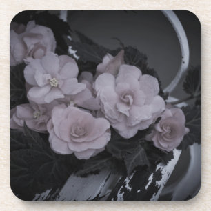 Pink Begonias Resting On Bench Coaster