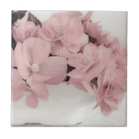 Pink Begonias