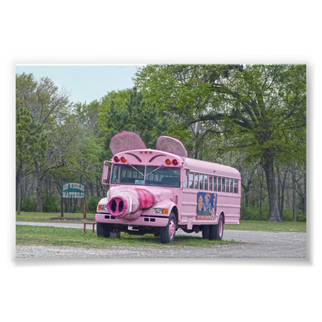Pink Ben Wheeler, Texas, Hogfest Bus Photo Print (Front)