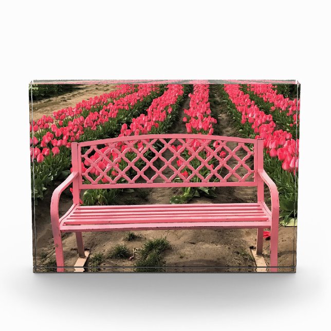 Pink Bench with Pink Tulips Photo Block (Front)