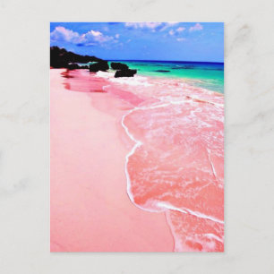 Pink Bermuda Beach Postcard