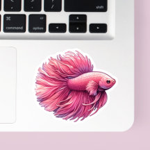 Pink Betta Fish