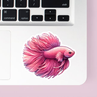 Pink Betta Fish
