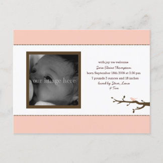 Pink Bird Baby Announcement Postcard