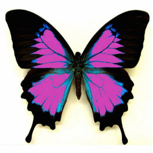 Pink Black and Blue Butterfly For A Friend Photo Sculpture Key Ring