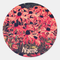 Pink Black Eyed Susan Flowers Personalised