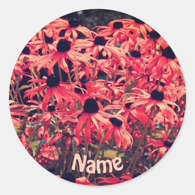 Pink Black Eyed Susan Flowers Personalised Classic Round Sticker (Front)