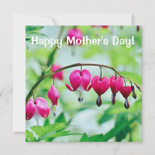 Pink Bleeding heart Flower card Mother's Day