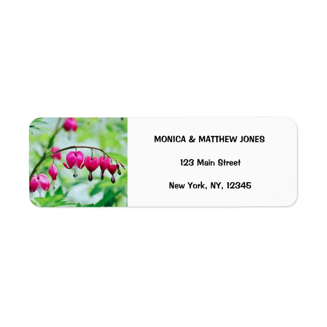 Pink Bleeding heart Flower Elegant Pretty (Front)