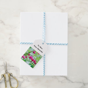 Pink Bleeding heart Flower Pretty Elegant Gift Tags