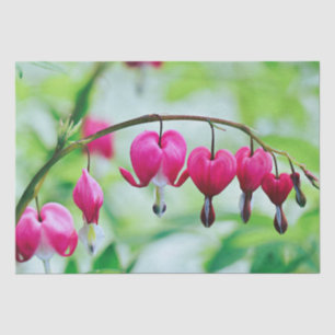 Pink Bleeding heart Flower Pretty Elegant Tissue Paper